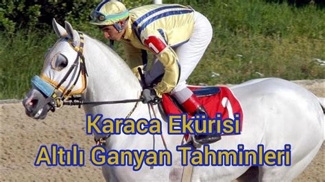 Diyarbakır at yarışları